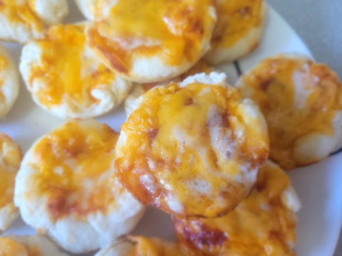 Pizza Bite Biscuits - Rainy River Homesteaders