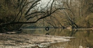 tire swing