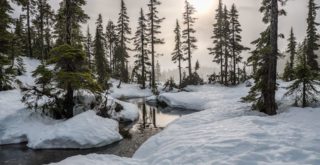 canadian winter outdoors