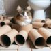 cat in toilet paper rolls