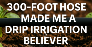How a 300-Foot Hose Made Me a Drip Irrigation Believer